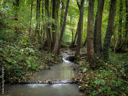 The waterfall in green forest