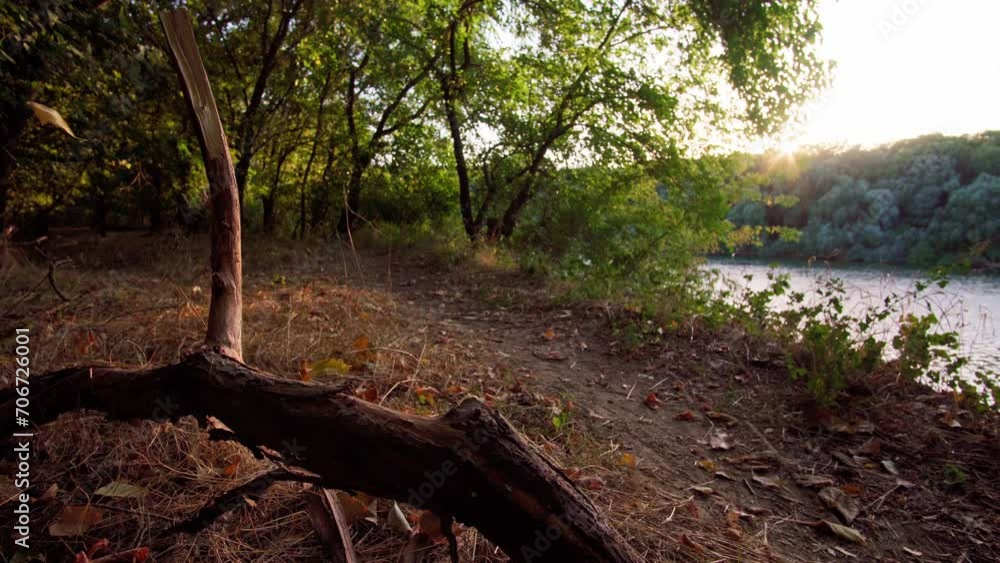 autumn landscape, forest glade on the river bank with old fallen trees and dry grass, close view, bright sunlight, beautiful nature
autumn landscape, forest glade on the river bank with old fallen trees and dry grass, close view, bright sunlight, beautiful nature
