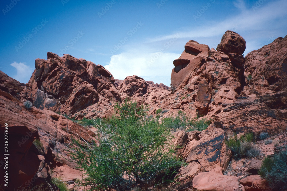 Natural landscape of limestone and sandstone rock formations inside a national parks in utah and arizona in north america in summer