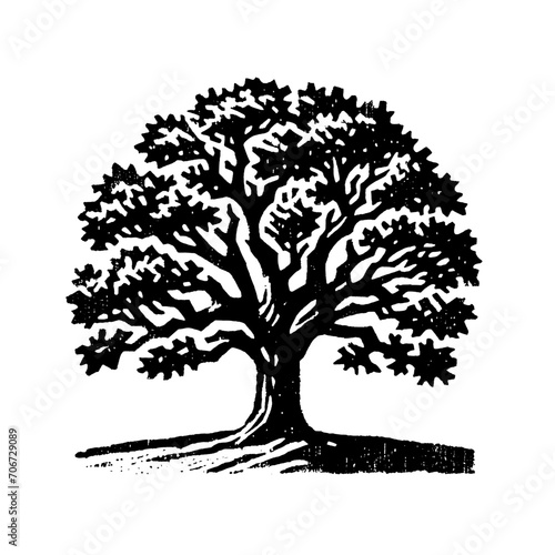 Oak tree. Vintage withered black and white block print style vector illustration.