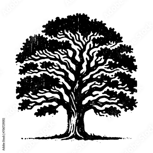 Oak tree. Vintage withered black and white block print style vector illustration.