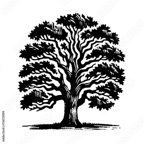 Oak tree. Vintage withered black and white block print style vector illustration.