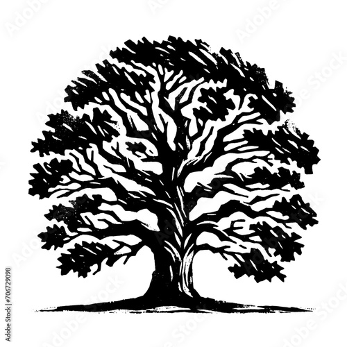 Oak tree. Vintage withered black and white block print style vector illustration.