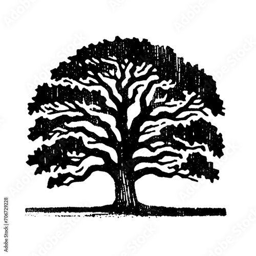 Oak tree. Vintage withered black and white block print style vector illustration.