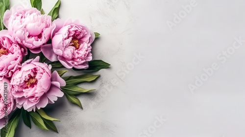 Elegant pink peonies gracefully isolated on a chic gray background