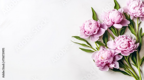 Elegant pink peonies gracefully isolated on a chic gray background © Алла Морозова