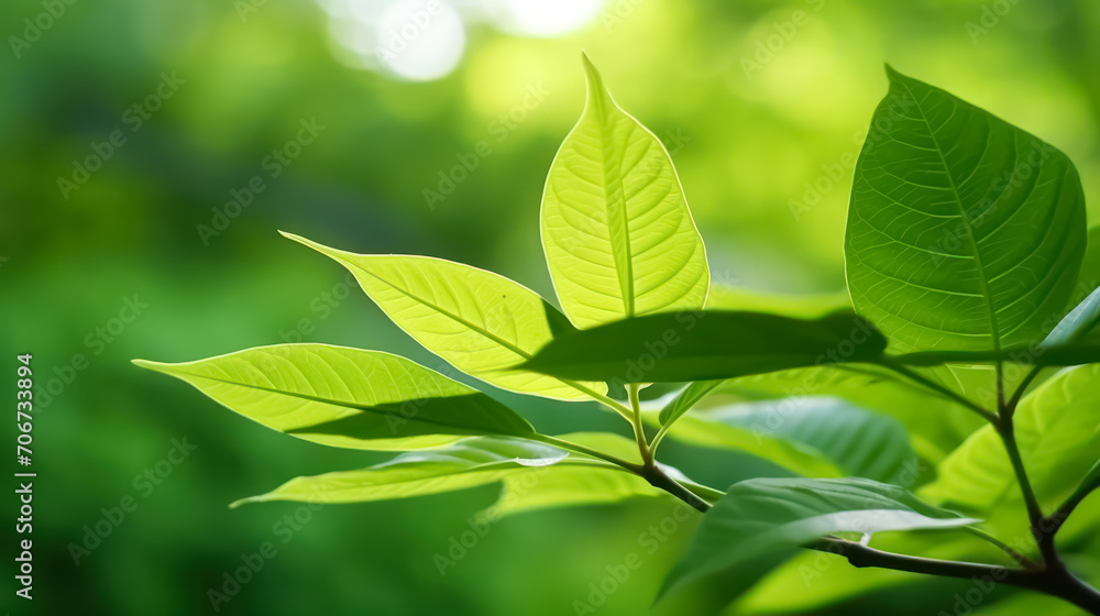 Lush green leaves in a summer garden, a testament to the vibrant beauty of nature. Lush green leaves in a summer garden, a testament to the vibrant beauty of nature.