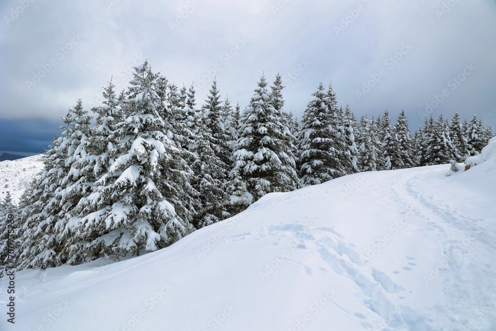 Paysage sous la neige, avec des arbres, des granges et des sapins