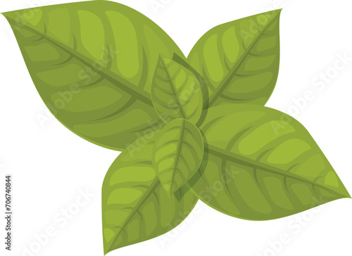 Pesto leaf plant icon cartoon vector. Olive garlic. Cooking dish cup