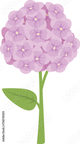 Summer hydrangea icon cartoon vector. Blossom plant. Leaf bloom fashion