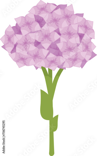 Love hydrangea icon cartoon vector. Marriage garden. Spring floral