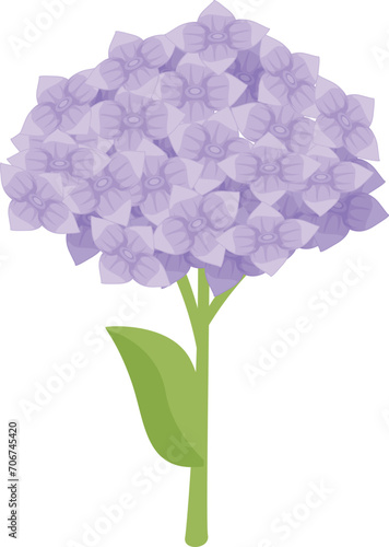 Floral hydrangea icon cartoon vector. Petal plant leaf. Summer time