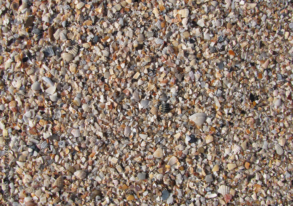 colorful coarse sea sand and crushed shells colorful coarse sea sand and crushed shells