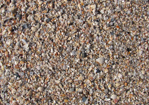 colorful coarse sea sand and crushed shells
