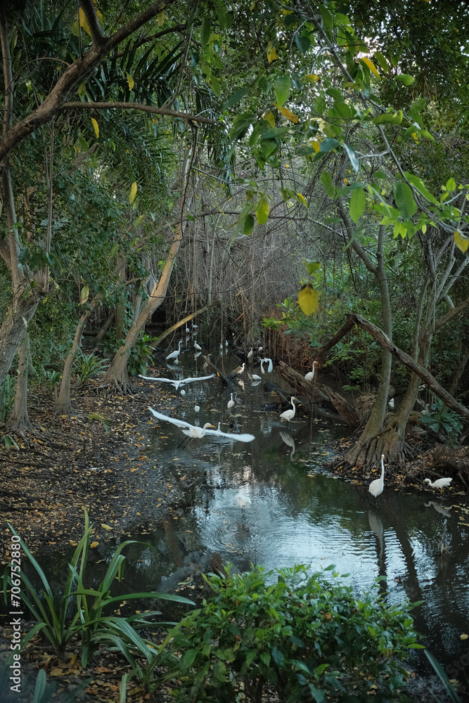 river in the forest river in the forest