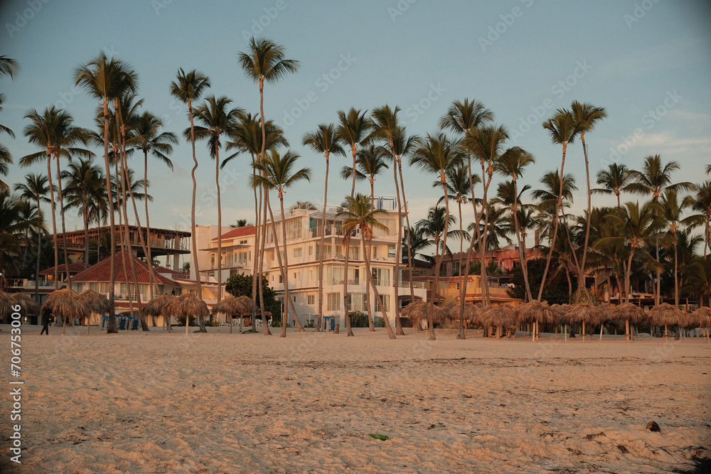 Obraz premium beach with palm trees