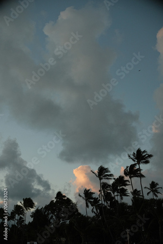 sunset in the clouds