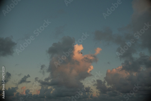 birds in the clouds 