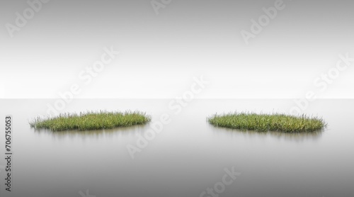 Lush green seagrass islands on the mudflats of the island of Sylt, Germany, Europe photo