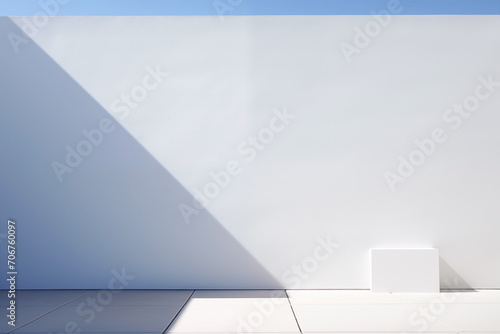 Simple white wall with an ethereal shadow.