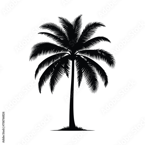 Palm Tree Silhouette