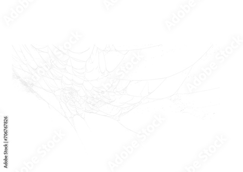 Spider Web v1 Alpha