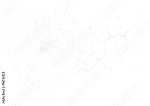 Spider Web v2 Alpha