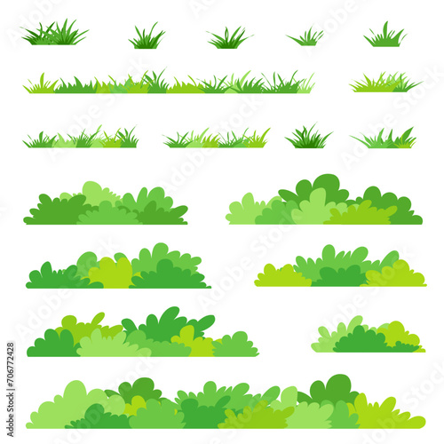 Abundant bushes form the forest
