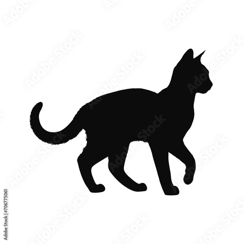 Elegant Cat Silhouette