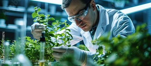 Slide view of biologist researcher analyzing gmo green leaf using medical microscope Chemist scientist examining organic agriculture plants in microbiology scientific laboratory photo