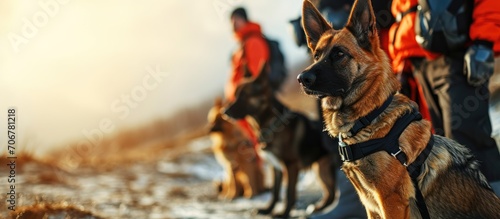 Search and rescue canine team ready for action. with copy space image. Place for adding text or design photo