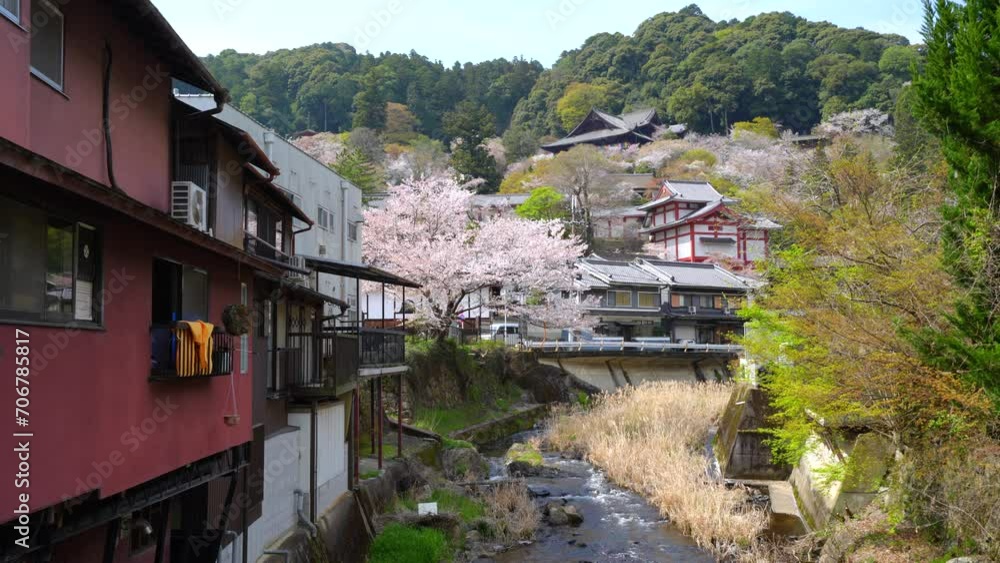 Spring cherry blossoms at Hasedera Temple Nara Spring cherry blossoms at Hasedera Temple Nara