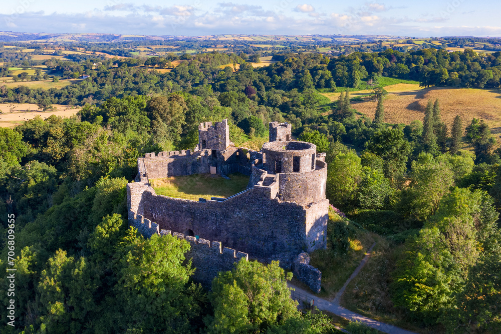 Dinefwr Castle from above