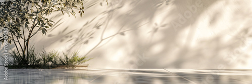 Minimalist Light Background with Elegant Blurred Foliage Shadow on Light Wall and Marble Floor