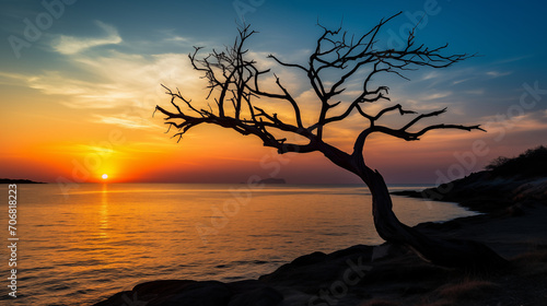 Fading Glory: Seaside Sunset Casts a Shadow on the Lifeless Tree