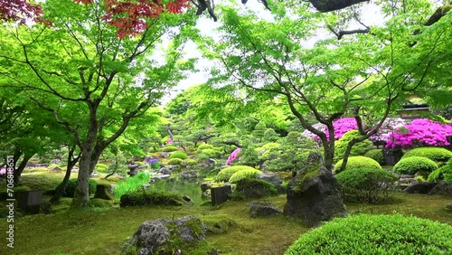 新緑が美しい池のある日本庭園  4K  島根県由志園の春の風景  2022年5月2日