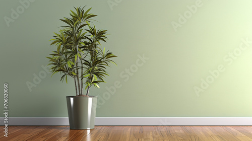 clean blank sage green wall with tropical tree in green modern design pot, baseboard on wooden parquet in sunlight for luxury interior design photo