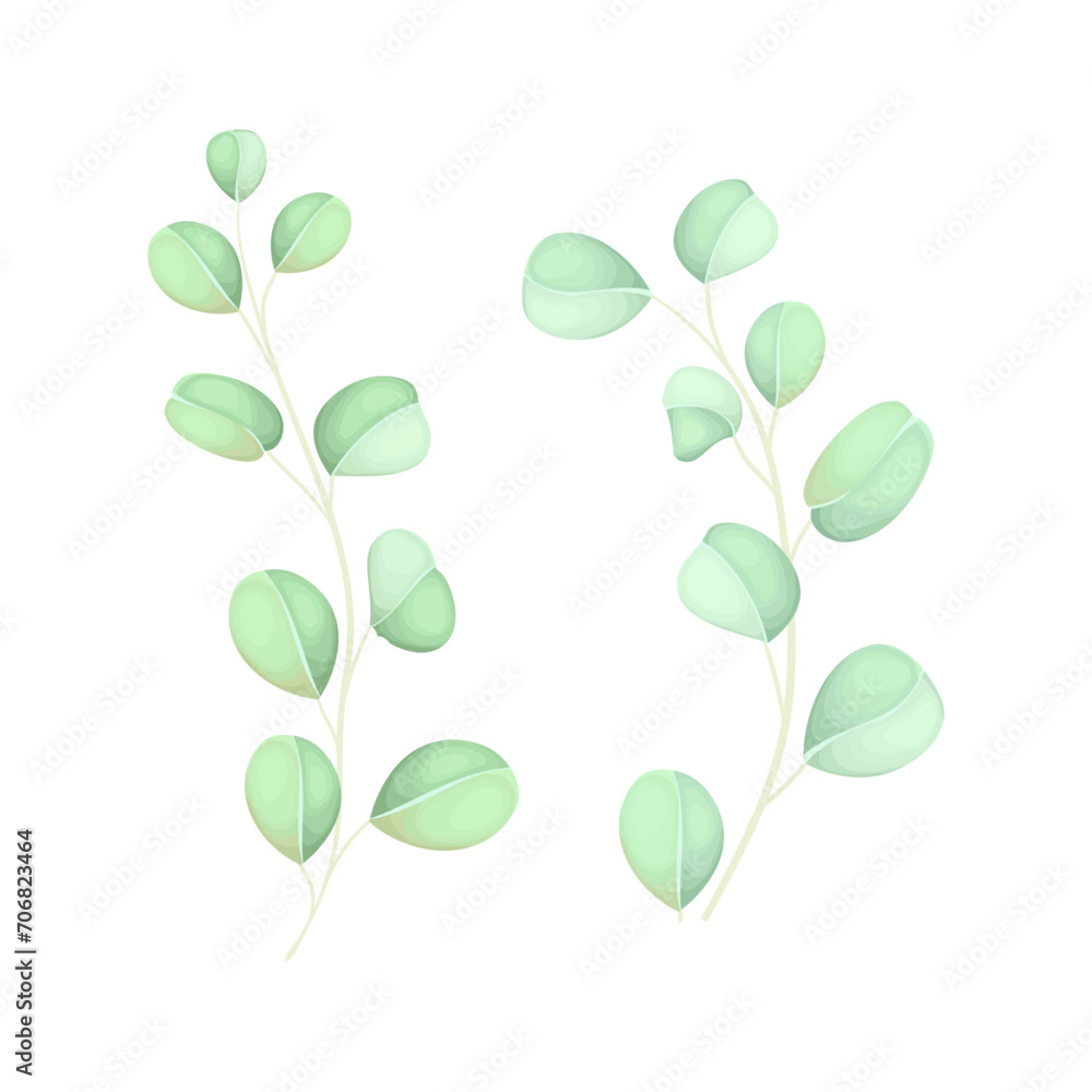 Vector green leaf hand drawn vector botanical illustration
