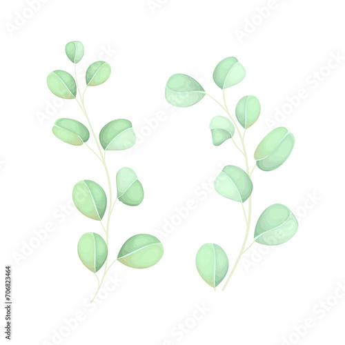 Vector green leaf hand drawn vector botanical illustration