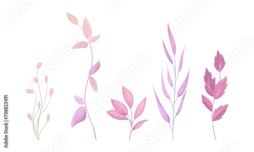 Vector hand drawn watercolor leaves isolated set on white background