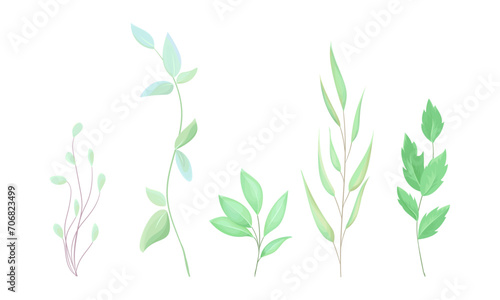 Vector hand drawn watercolor leaves set on white background