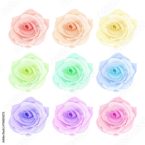 Vector blooming rose illustration on the white background