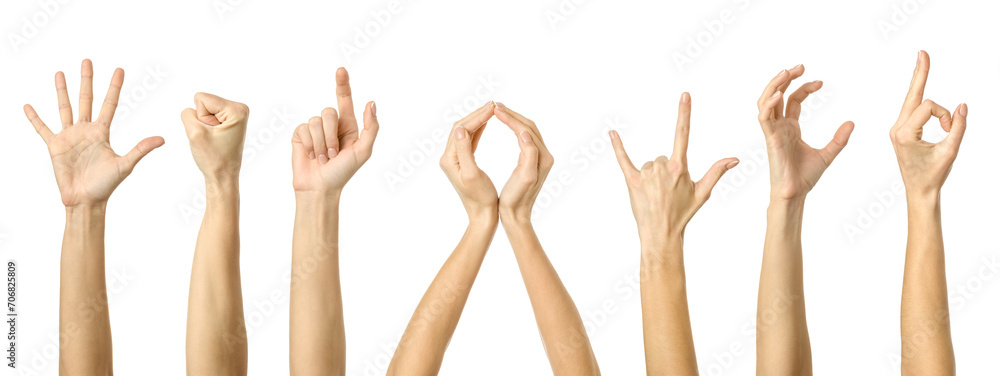 Big set of woman's hand gesturing isolated on white Big set of woman's hand gesturing isolated on white