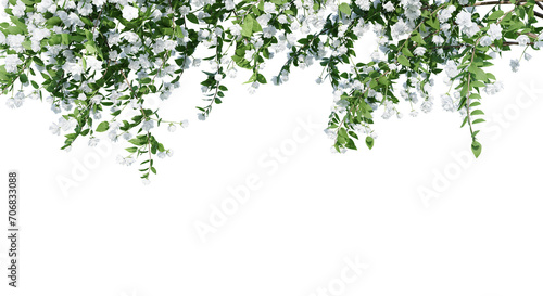  Philadelphus Bouquet Blanc isolate transparent background.3d rendering PNG