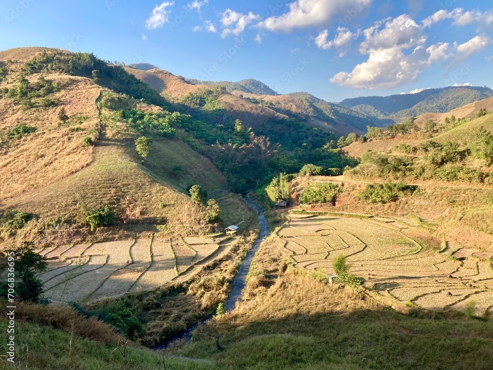 Dry rice fields landscape after harvesting, Amazing landscape with terrace fields in sunlight, rice terrace on the hills 