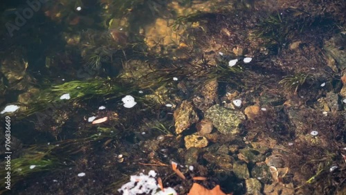 Close up clear running water Coosawattee River Ellijay Georgia 4k photo