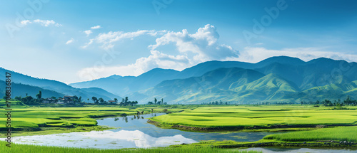 Panoramic view of Rice Farm Advertising and travel photography