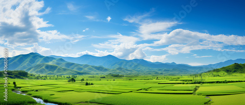 Panoramic view of Rice Farm of Thailand Advertising and travel photography