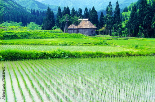 田舎の田園風景