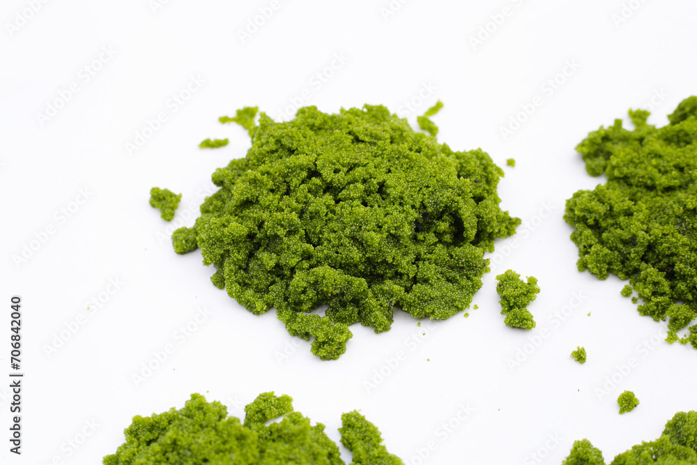 Fototapeta premium Wolffia globosa or swamp algae, water meal